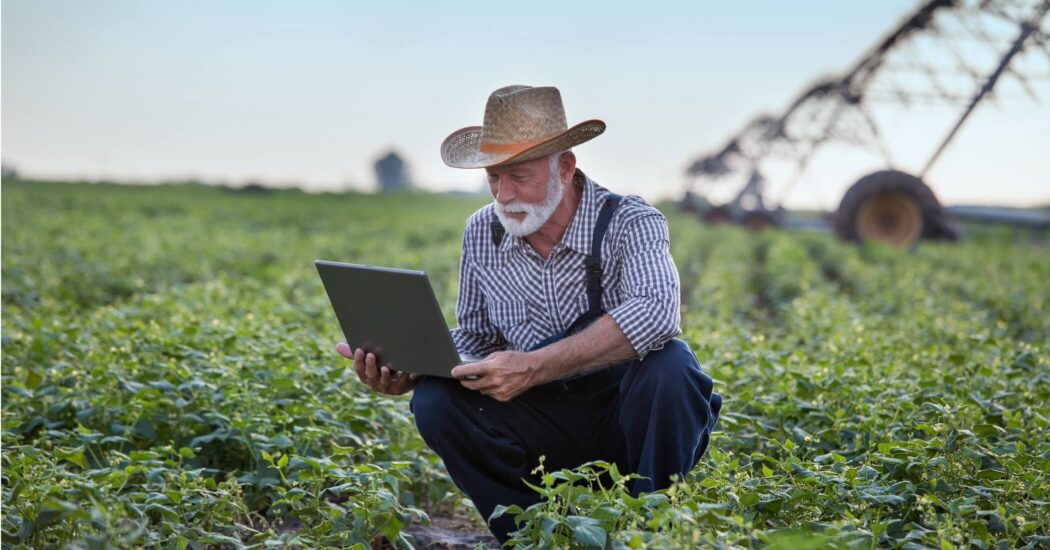Farmer in field with laptop
